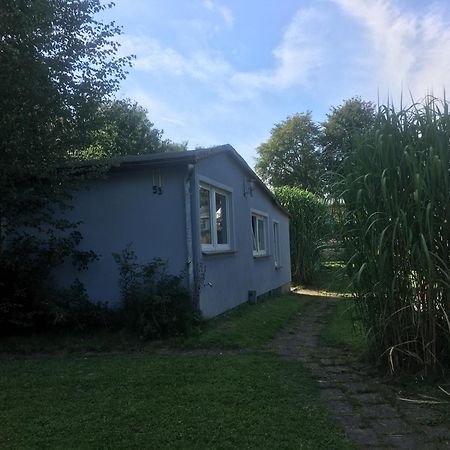 Ferienwohnung Am Strelasund Sundhagen-Niederhof Dış mekan fotoğraf